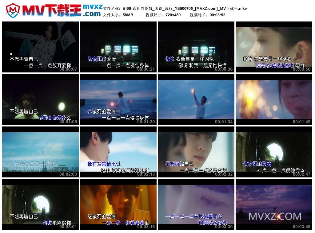 胡66-该死的爱情_国语_流行_YE500705